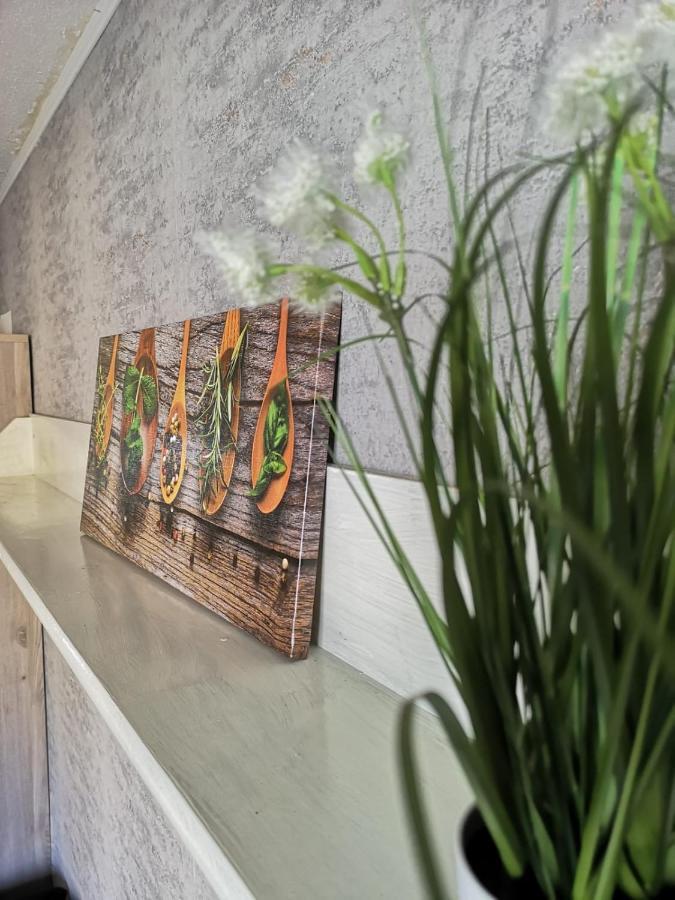 Cozy Flat, Central, Easy Parking, Clam Daire Bayreuth Dış mekan fotoğraf